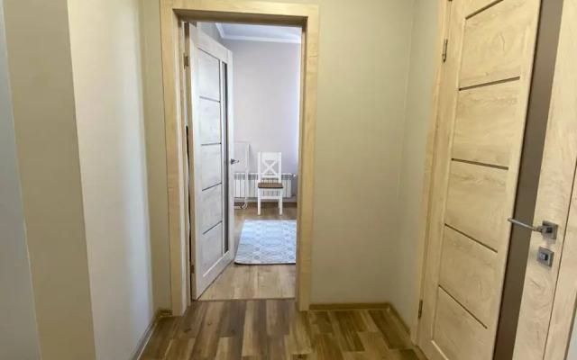 Sovremennaya Udobnaya V Tsentre Flat