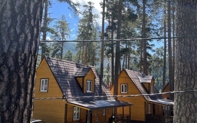 Гостевой дом Arkhyz forest house