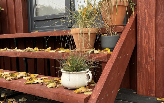 Гостевой Дом Дом-Театр