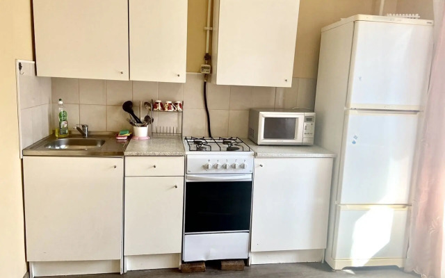 Na Ulitse Sofyi Perovskoy 15/2 Flat