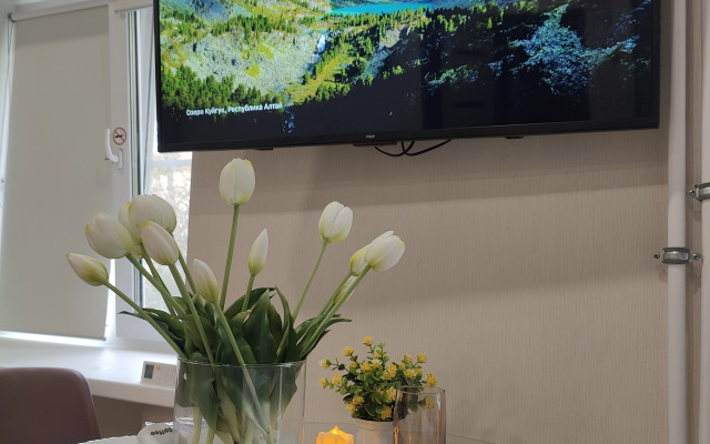 Апартаменты отличная студия напротив Сибади в центре Нефтяников