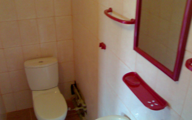 Отель Буковина