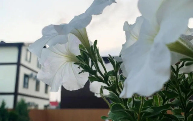 Air Azov Guest House