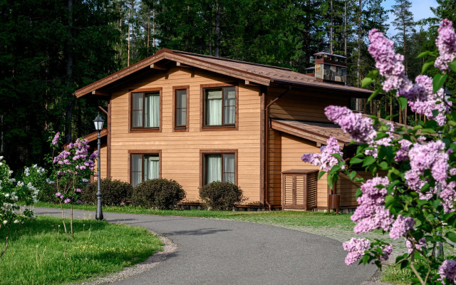 Okhta park Chalet