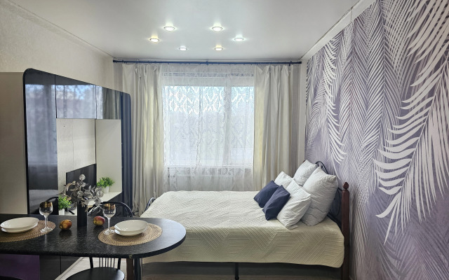 Квартира уютная студия