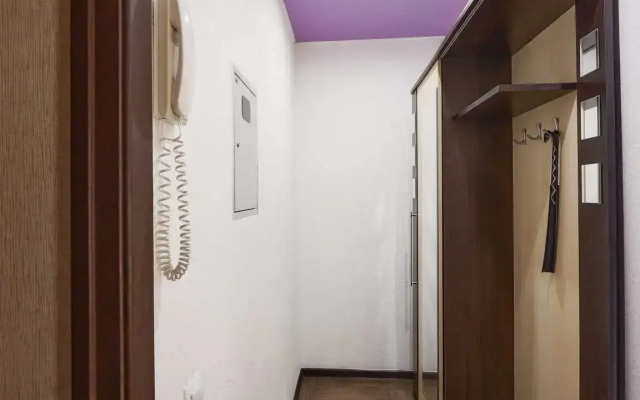 Апартаменты Карельцева 101 (4)