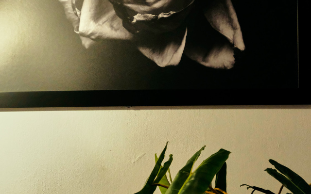 Peaceful Saigon 1BR in District 1 Pet-friendly Private house – Others – Ho Chi Minh City