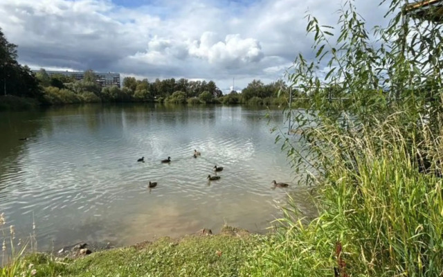 Квартира в ЖК Бapселона