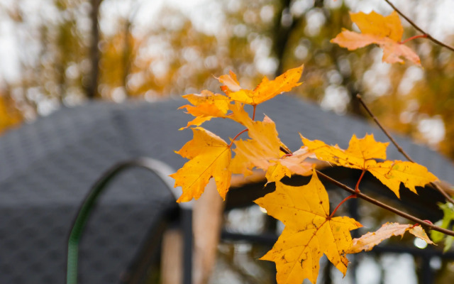 Отель Алмазы