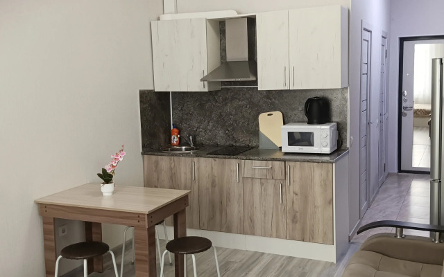 Na Vinogradnoy 22/1B Apartments