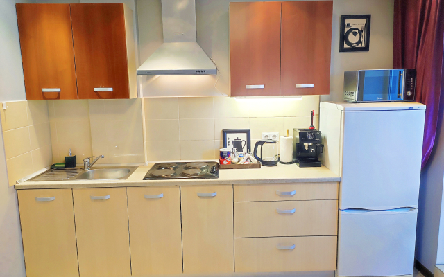 Studiya v Tikhom Tsentre Minska Flat