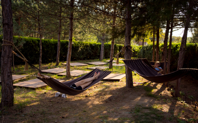 Отель Кедровый Бор