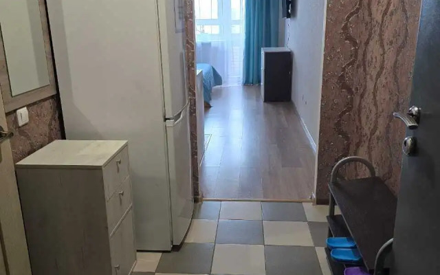 Квартира на Улице Михаила Дудина 10