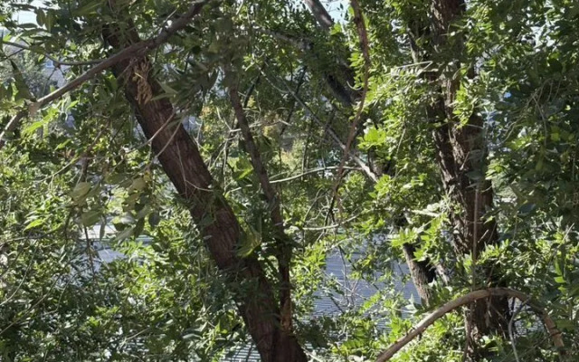 Квартира для командировочных рядом с заводами Лукойл, Каустик