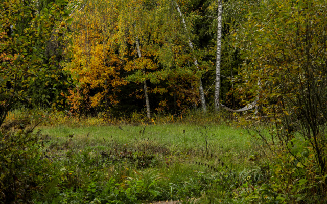 Ekoferma Glush Glamping