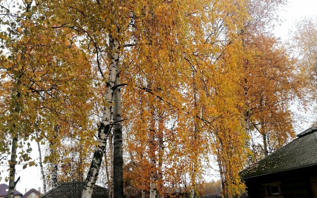 Okulova Zaimka Guest House