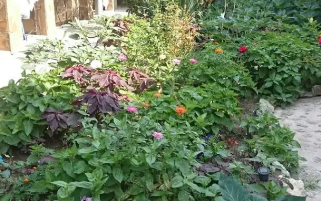 Гостевой Дом Виктория