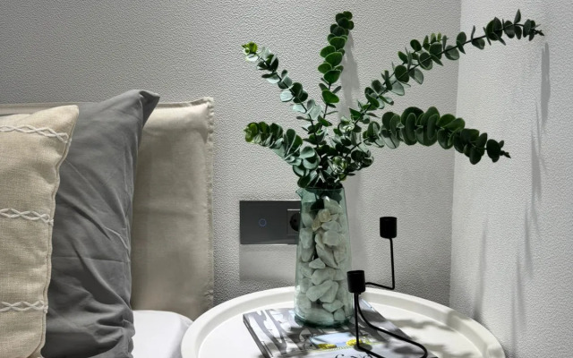 Квартира в Стиле Европейской Элегантности