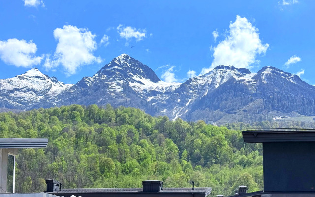 Апартаменты двухкомнатные в Красной Поляне