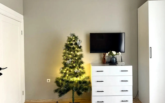 Biryuza U Nevy flat