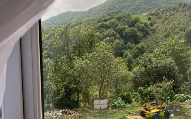 Hagvi Resortl Guest House