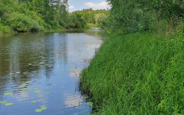 Recreation camp Zeleny Lug