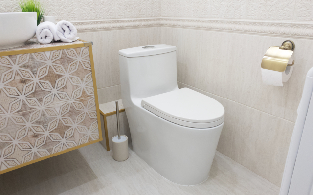 Dizaynerskiye Apartamenty v ZhK Romanov