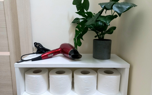 Квартира Уютная в центре на Ленина 88