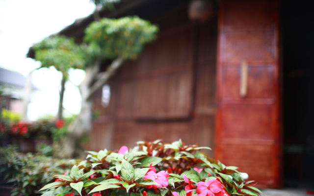 Petunia Garden Homestay Guest House