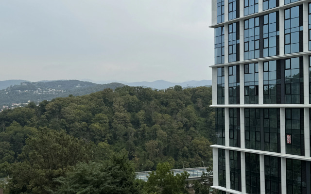Studiya Trekhmestnaya Zhk Sochi Park Flat