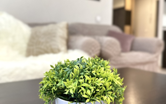 Апартаменты Трехкомнатные с невероятным видом