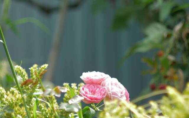 Гостевой Дом My Garden