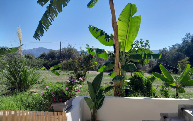 Casa Terra the most quiet hillside area near the airport & beach Apartments