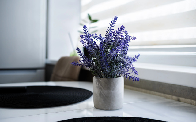 Квартира посуточно