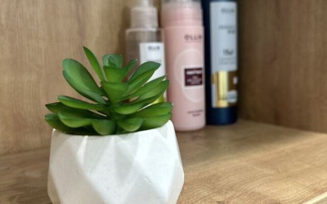 Квартира Уютная 1 Комнатная