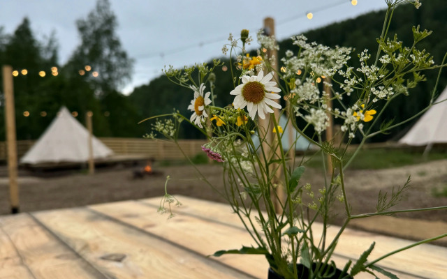 Panoramny Camping