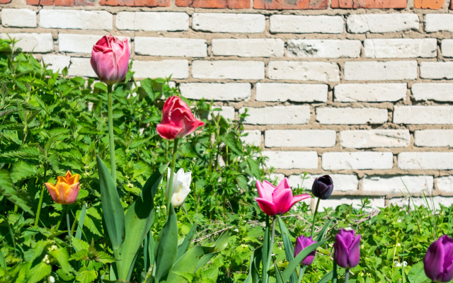Хостел Вежливый Лось на Дмитровской