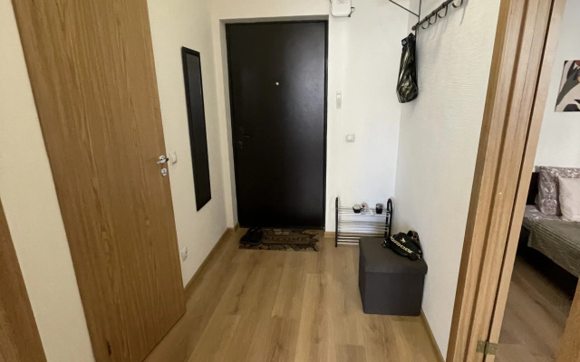 Апартаменты Квартира в Поселке Песочный