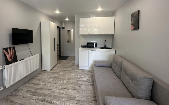 Квартира Студия Курортный Проспект