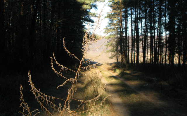 Частный дом Гостевой дом Усадьба Теплый хутор