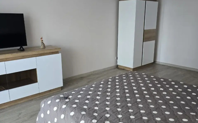 Dvukhyarusnaya kvartira Turgeneva 9A Flat