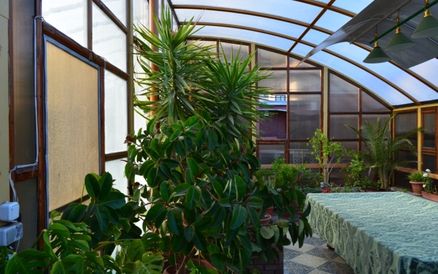Medniy Vsadnyk Guest house