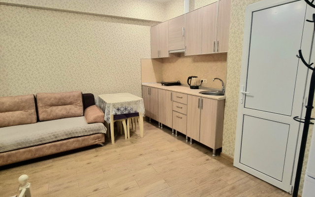 Апартаменты Люкс 1