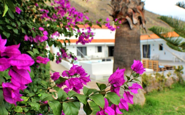 Wolfhouse Villa