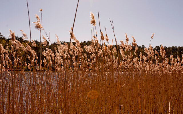 Квартира Студия в Сосновом бору