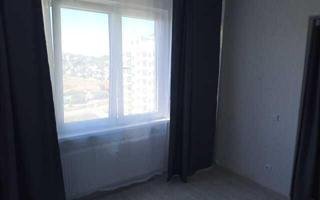 Novaya smart-studiya (462) Flat