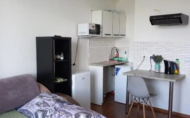 Квартира на Ленина 563к4