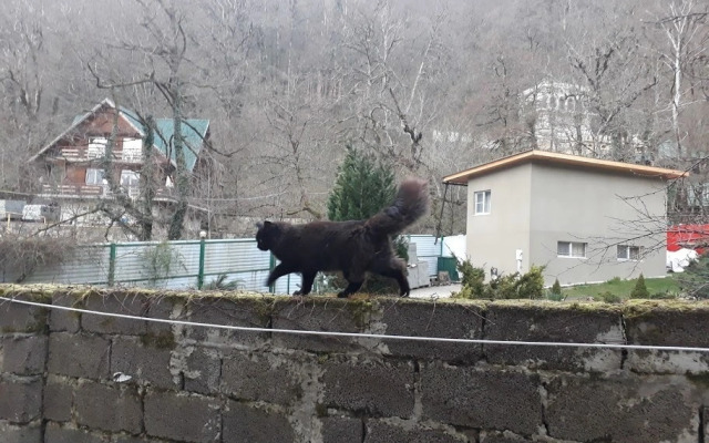 Na Gribnom Pereulke 2 Apartments