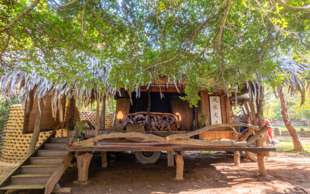 Banyan Camp