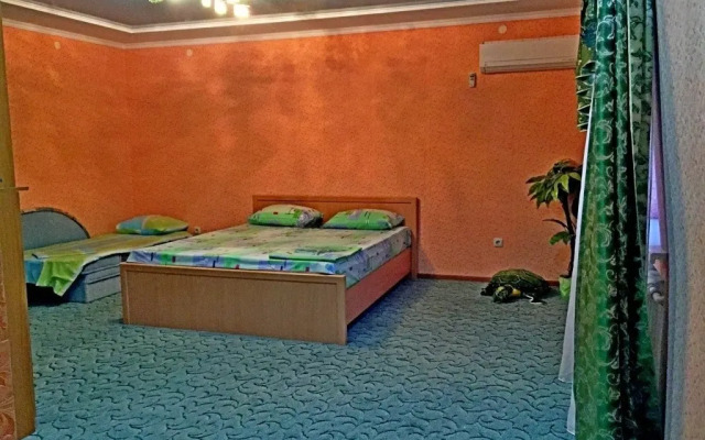 Частный дом 069 Маячная 38